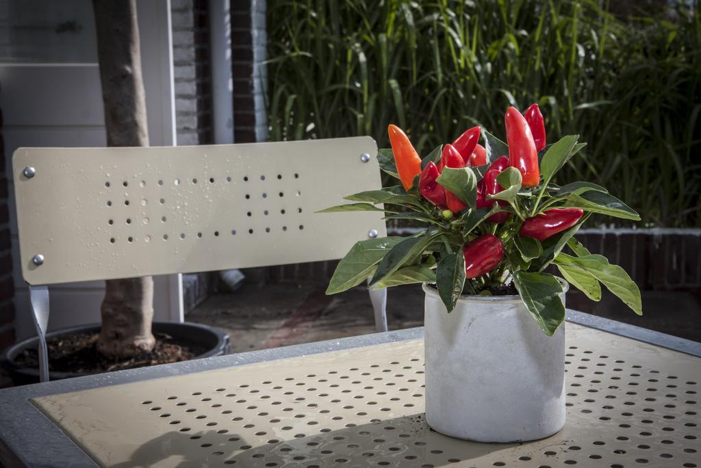 Savina City Centre Apartment Near Beach, Station And Shops Zandvoort Bilik gambar